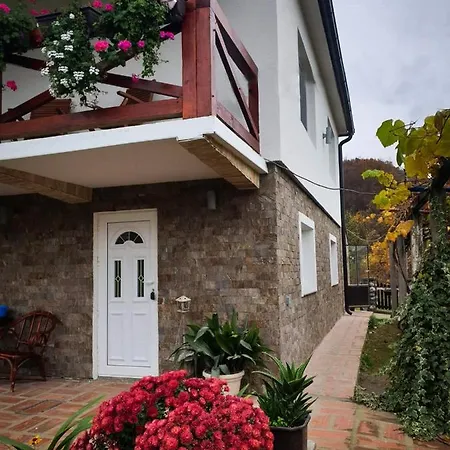 アパート Casa Dafin Tekija - Kladovo Tekija (Bor)