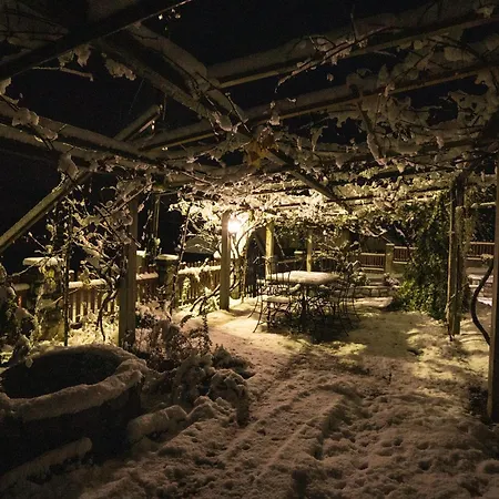 Casa Dafin Tekija - Kladovo *