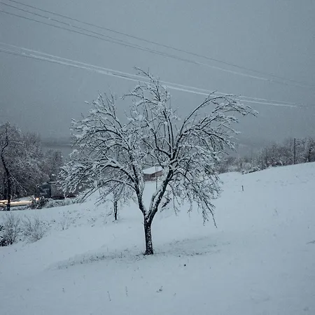 Casa Dafin Tekija - Kladovo * Tekija (Bor)