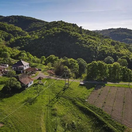Casa Dafin Tekija - Kladovo Tekija (Bor)